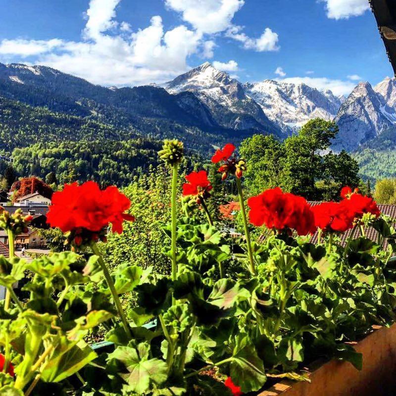 Gaestehaus Hohe Tannen Γκάρμις-Παρτενκίρχεν Εξωτερικό φωτογραφία